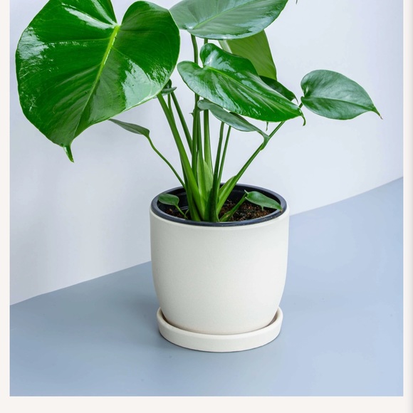 Meet your Posher, Harpreet - Picture 1 of 1